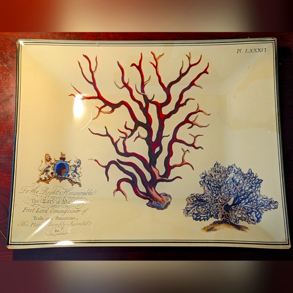 Large John Derian-Style Presentation Glass Tray